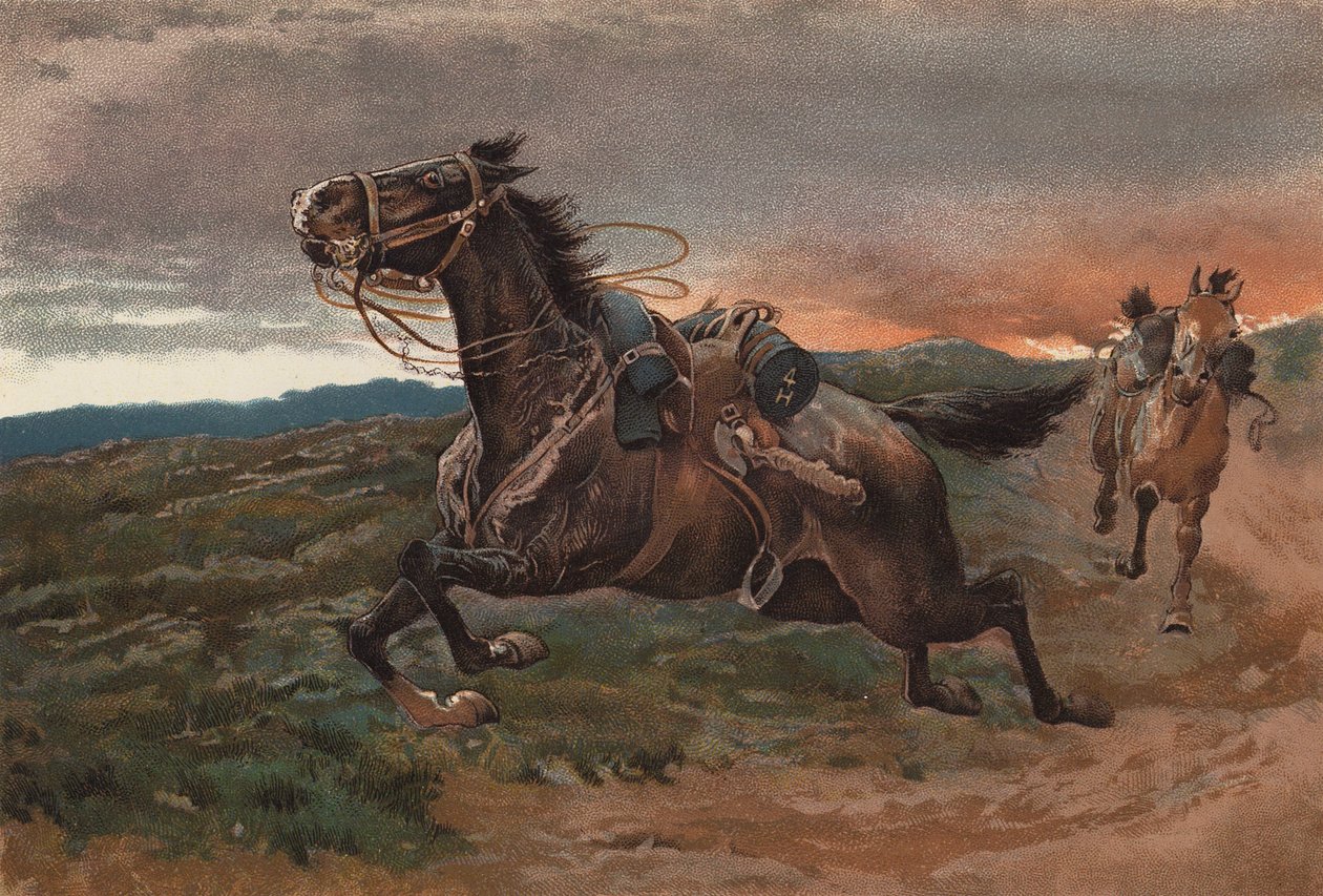  द्वारा जॉन (बाद में) चार्लटन