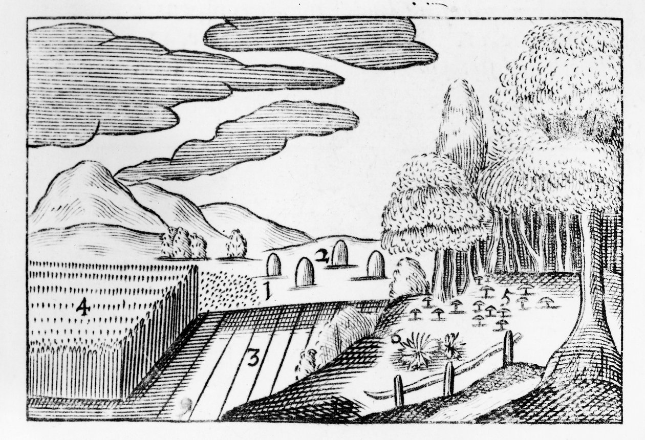 पृथ्वी के फल, 1658 द्वारा जॉन अमोस कोमेनियस