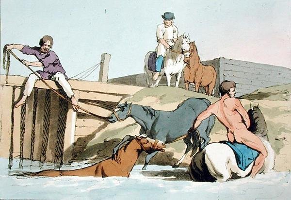 स्नान करने वाले घोड़े, कलाकार द्वारा उकेरे गए, 1803 में प्रकाशित (कलर लिथो) द्वारा जॉन ऑगस्टस एटकिंसन