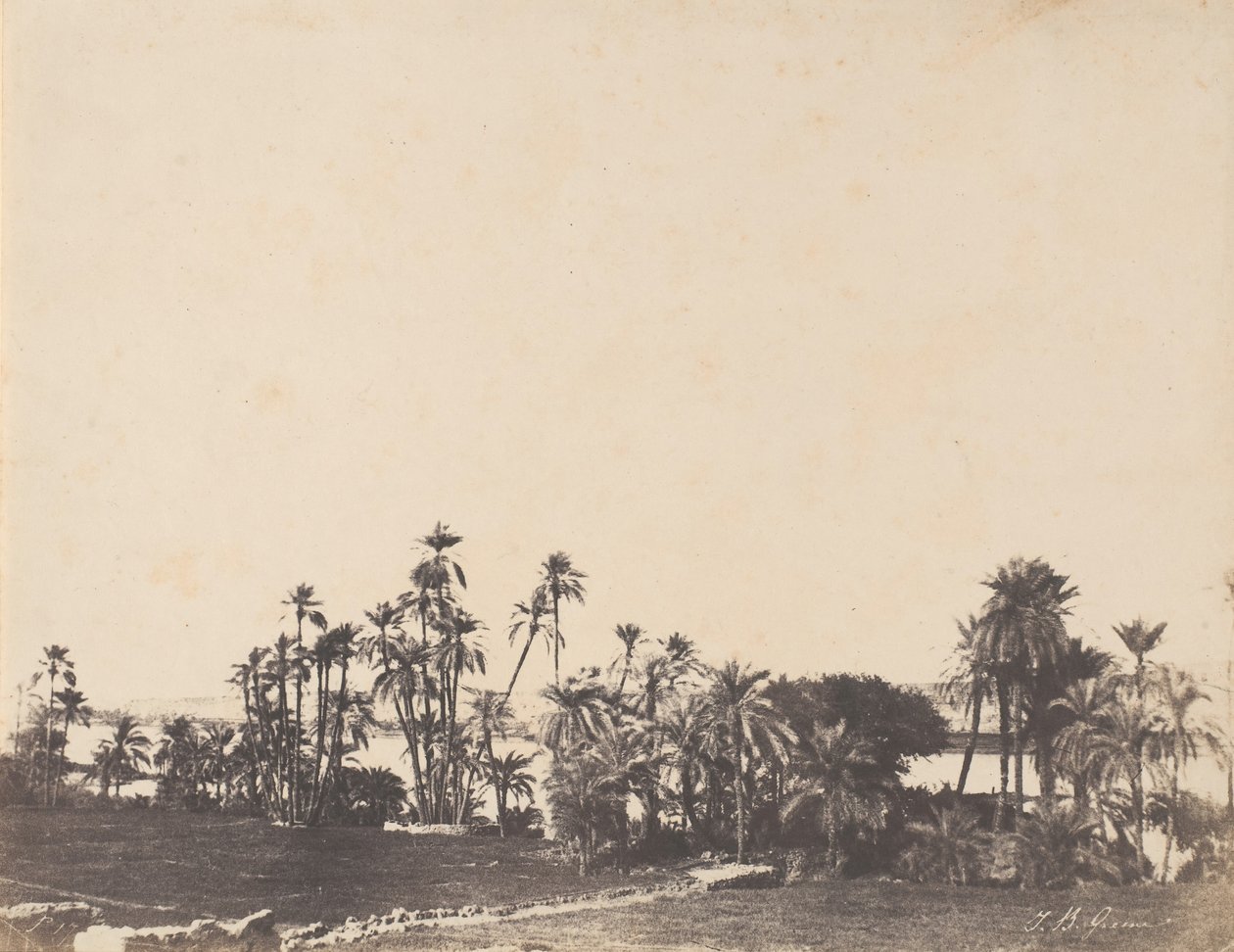 खजूर के पेड़ों का अध्ययन, नील नदी के तट, कालाब्शी, 1853-54। द्वारा जॉन बेस्ली ग्रीन