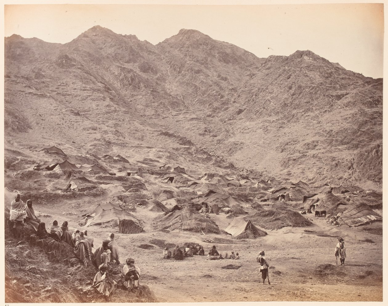 जंगली में द्वारा जॉन बर्क
