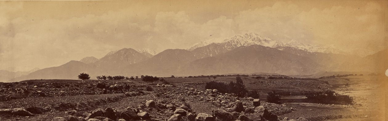  द्वारा जॉन बर्क