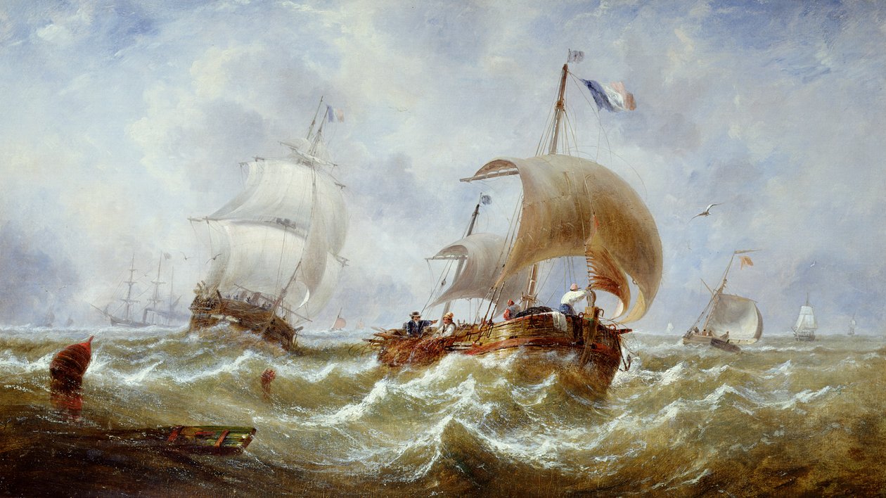  द्वारा जॉन कॉलो