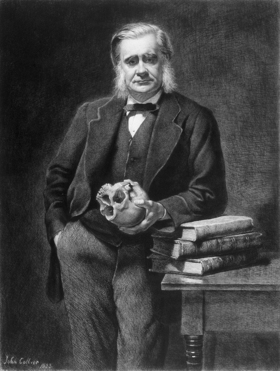 थॉमस हेनरी हक्सले (1825-95) लियोपोल्ड फ्लैमेंग (1831-1911) 1885 द्वारा उत्कीर्ण द्वारा जॉन कोलियर