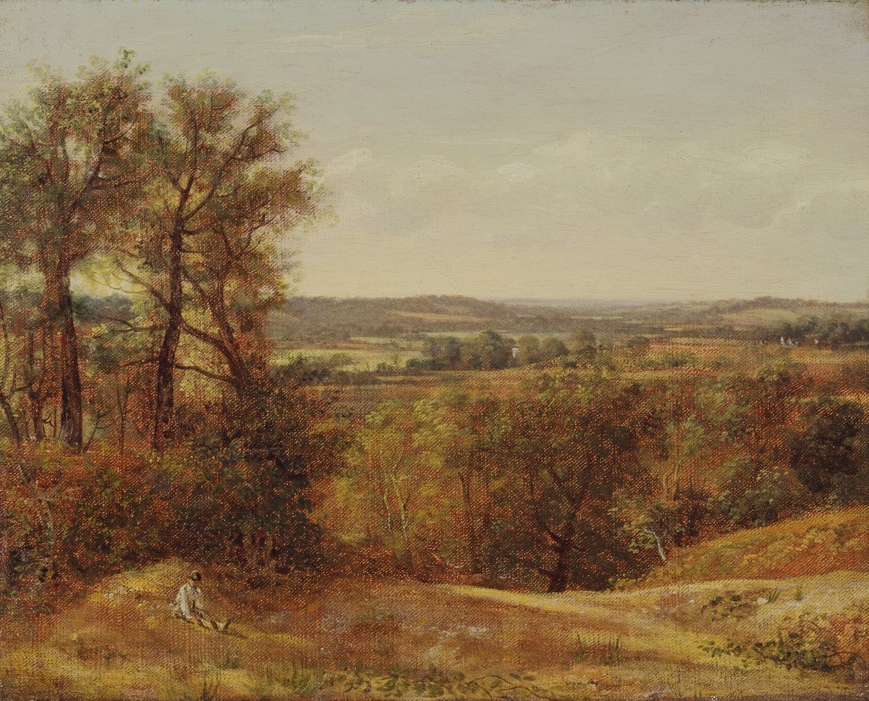 Dedham Vale, 1802.  द्वारा जॉन कांस्टेबल
