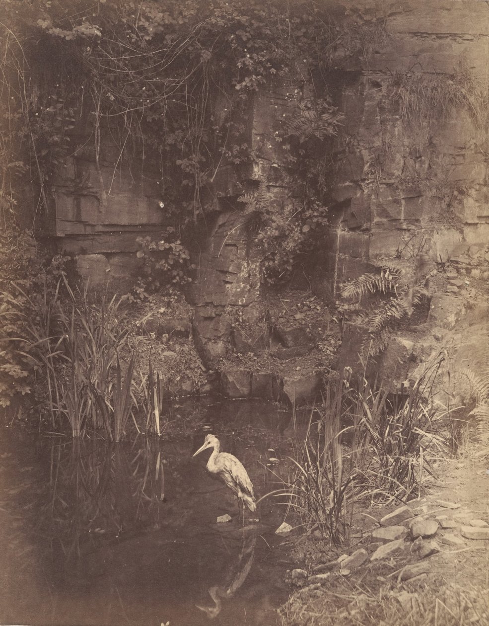 मछुआरा, नहीं। 2, 1856। द्वारा जॉन डिल्विन लेलेवेन