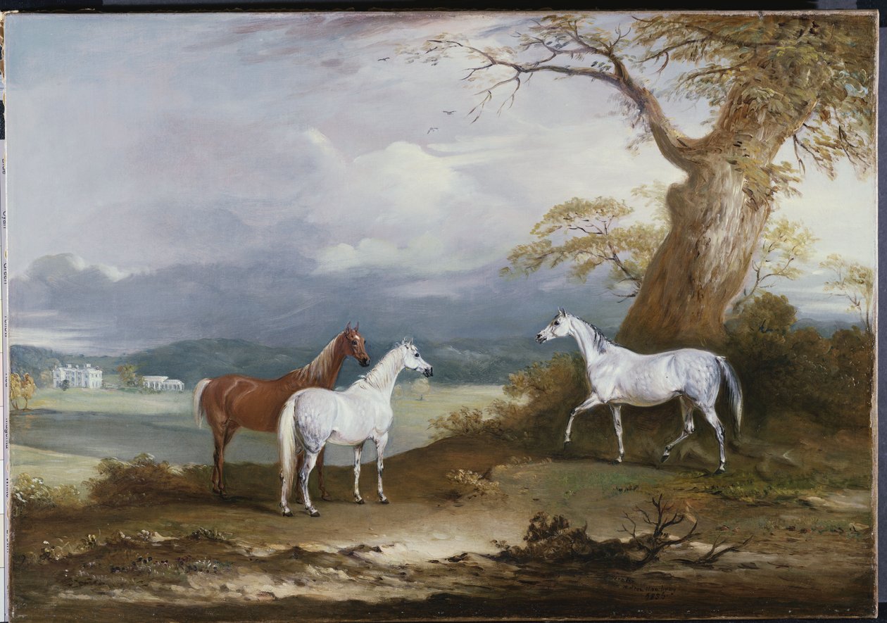 लॉर्ड मैकडोनाल्ड्स ने मार्स ऑफ द थ्रोस हॉल, रुडस्टन, यॉर्कशायर, 1836 में मार्स किया द्वारा जॉन ई। फर्नेली