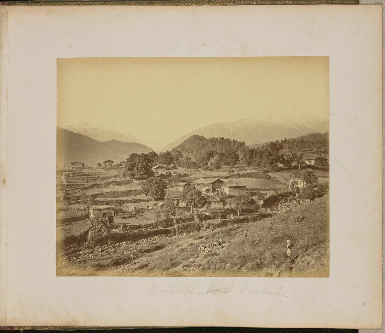  द्वारा जॉन एडवर्ड साचे