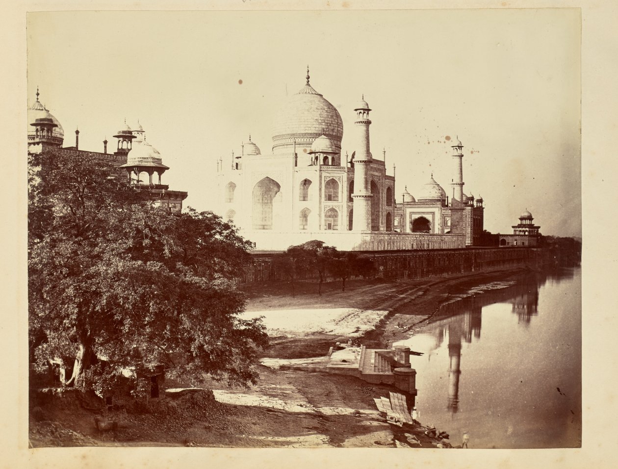  द्वारा जॉन एडवर्ड साचे
