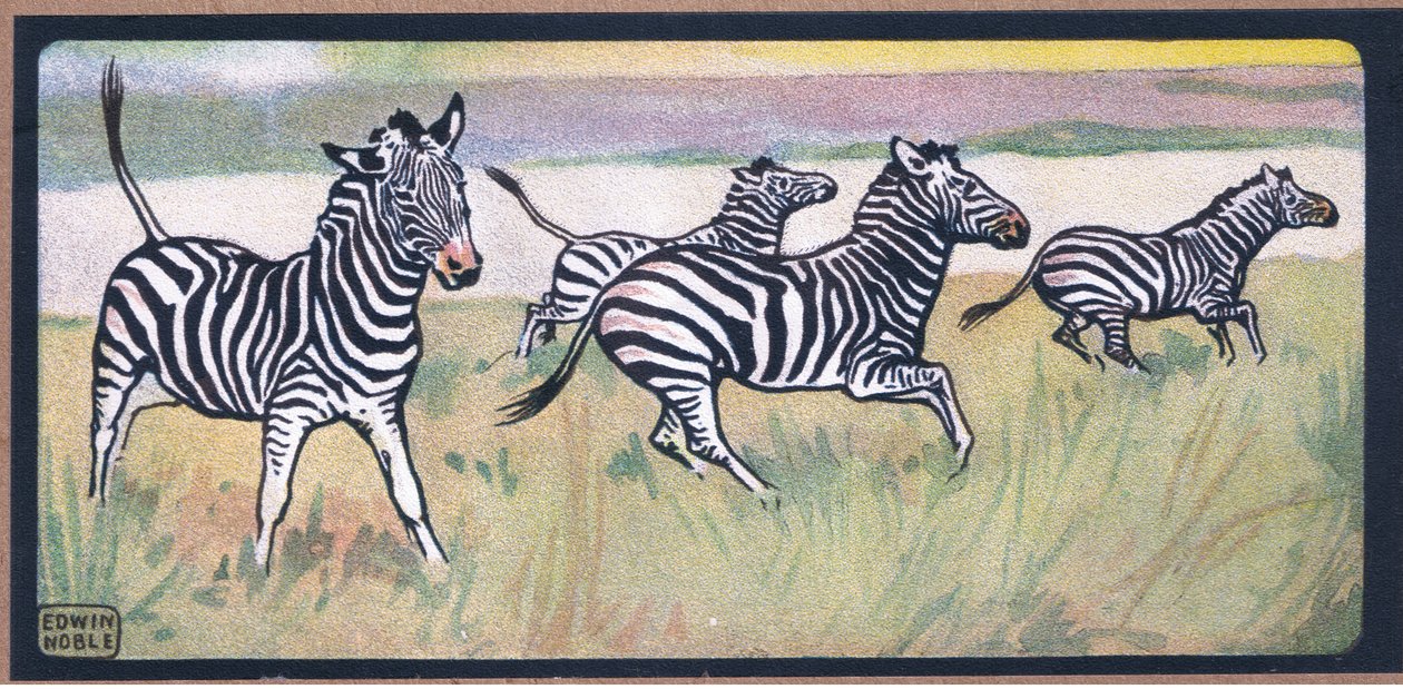 द्वारा जॉन एडविन नोबल
