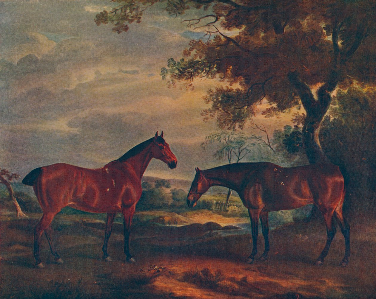 यॉर्कशायर हंटर्स एट ग्रास, c1840, 1922 द्वारा जॉन फर्नले