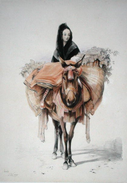 सेविले 1835, 'स्केच ऑफ स्पेन' से, चार्ल्स जोसेफ हुलमंडेल (1789-1850) द्वारा उकेरा गया, 1836 में प्रकाशित हुआ (कलर लिथो) द्वारा जॉन फ्रेडरिक (बाद) लुईस