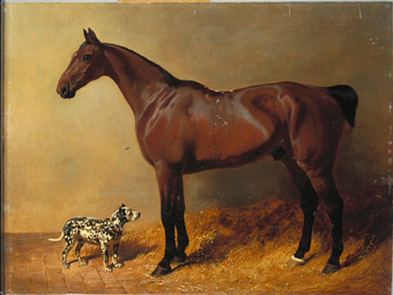 एक बे हंटर और एक चित्तीदार कुत्ता एक स्थिर इंटीरियर में, 1846 द्वारा जॉन फ्रेडरिक हेरिंग सीनियर
