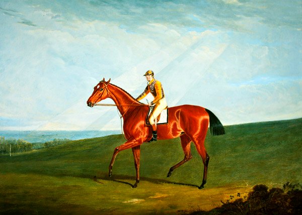 जे जैक्सन अप के साथ रिंगलेट, c.1823 (कैनवास पर तेल) द्वारा जॉन फ्रेडरिक हेरिंग सीनियर