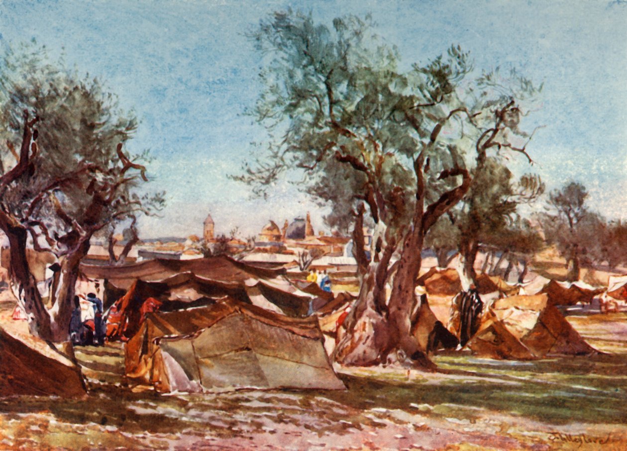 बेडुइन एग्जिबिशन, यरूशलेम की उत्तरी दीवार के बाहर, 1902। द्वारा जॉन फुललीवे