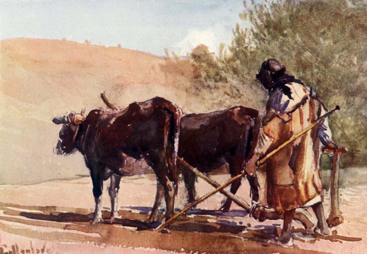 जैतून के पहाड़ पर जुताई, 1902। द्वारा जॉन फुललीवे
