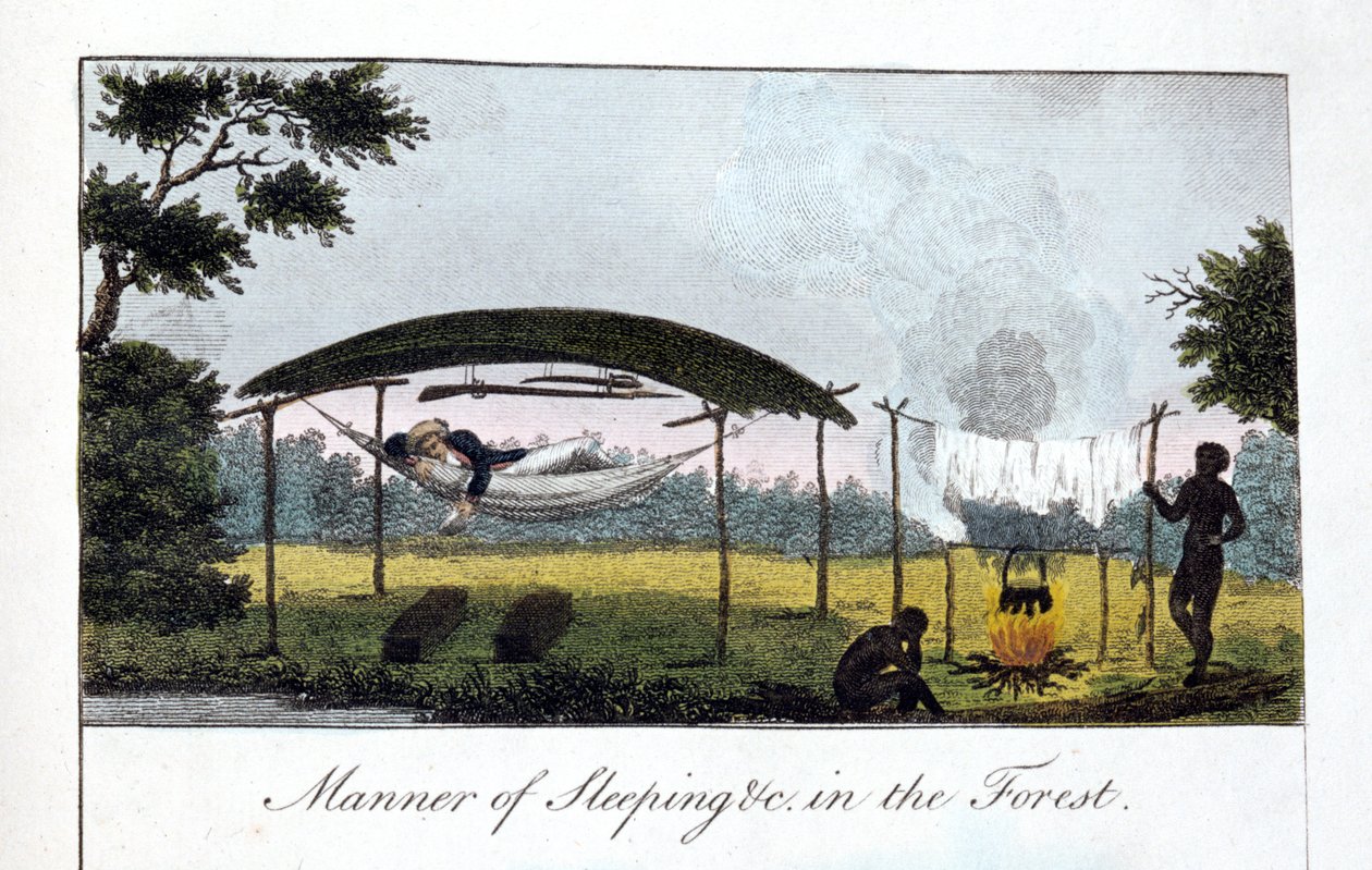 फॉरेस्ट ऑफ़ स्लीपिंग इन वन, 1813। द्वारा जॉन गेब्रियल स्टीडमैन