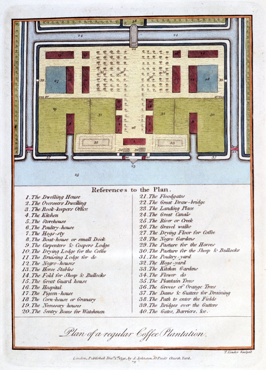 एक नियमित कॉफी बागान की योजना, 1813 द्वारा जॉन गेब्रियल स्टीडमैन