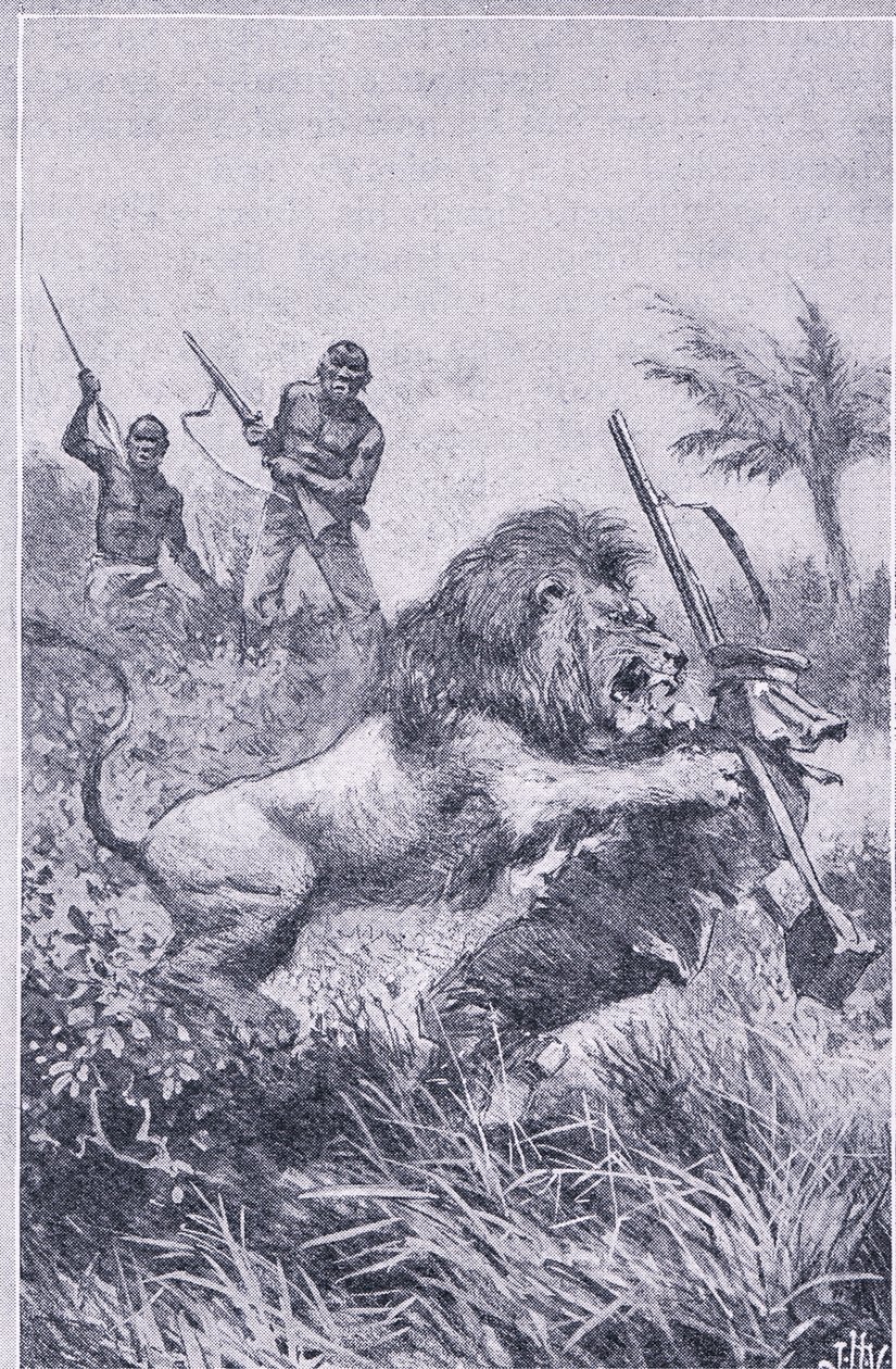 लिविंगस्टोन का अंत, न्यूनेस सचित्र ज्ञान, न्यूनेस द्वारा प्रकाशित, c.1950's (लिथो) द्वारा जॉन हैरिस वाल्डा