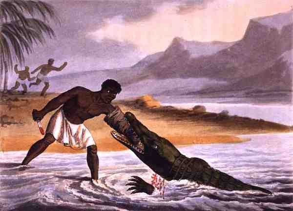 एडवर्ड ऑरमे द्वारा प्रकाशित मैथ्यू डबॉर्ग (fl.1785-1820) द्वारा उकेरी गई अफ्रीकी मगरमच्छ शिकारी द्वारा जॉन हीविसाइड (बाद) क्लार्क