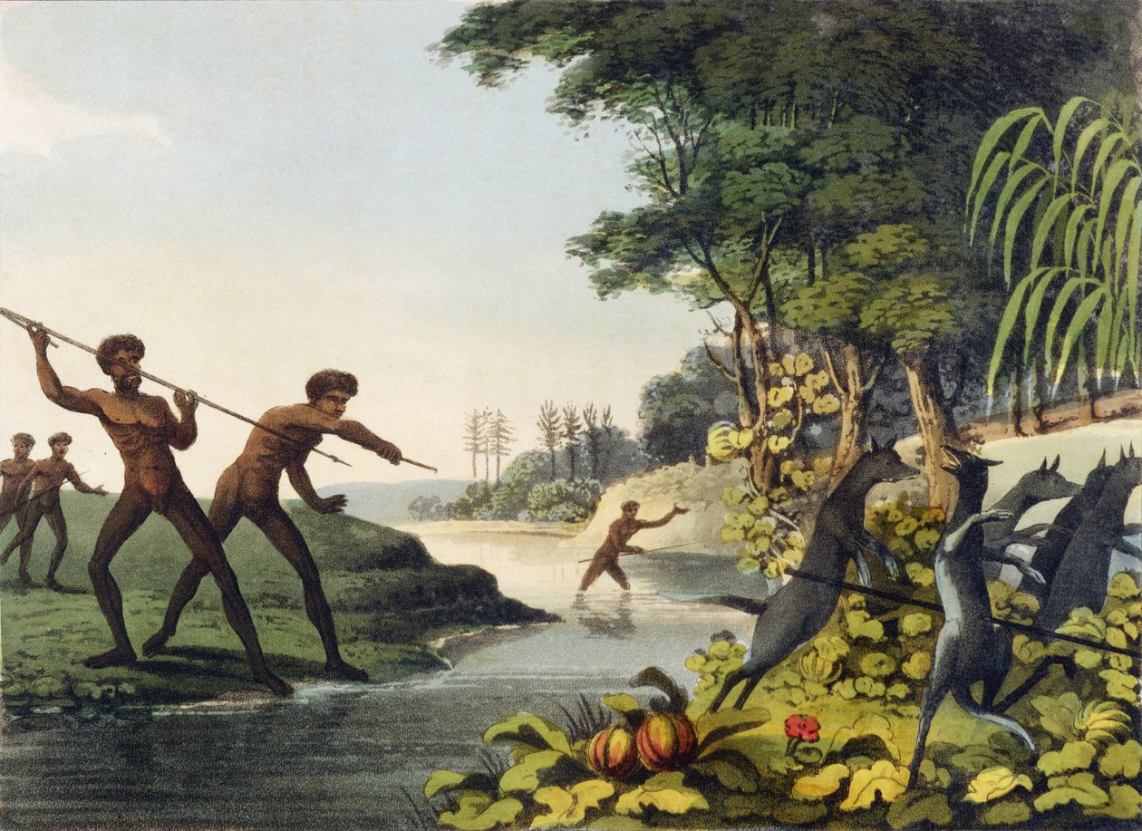 कंगारू का शिकार करना, मैथ्यू डबबर्ग (fl.1813-1820) 1813 द्वारा उत्कीर्ण न्यू साउथ वेल्स में आदिवासी द्वारा जॉन हीविसाइड क्लार्क