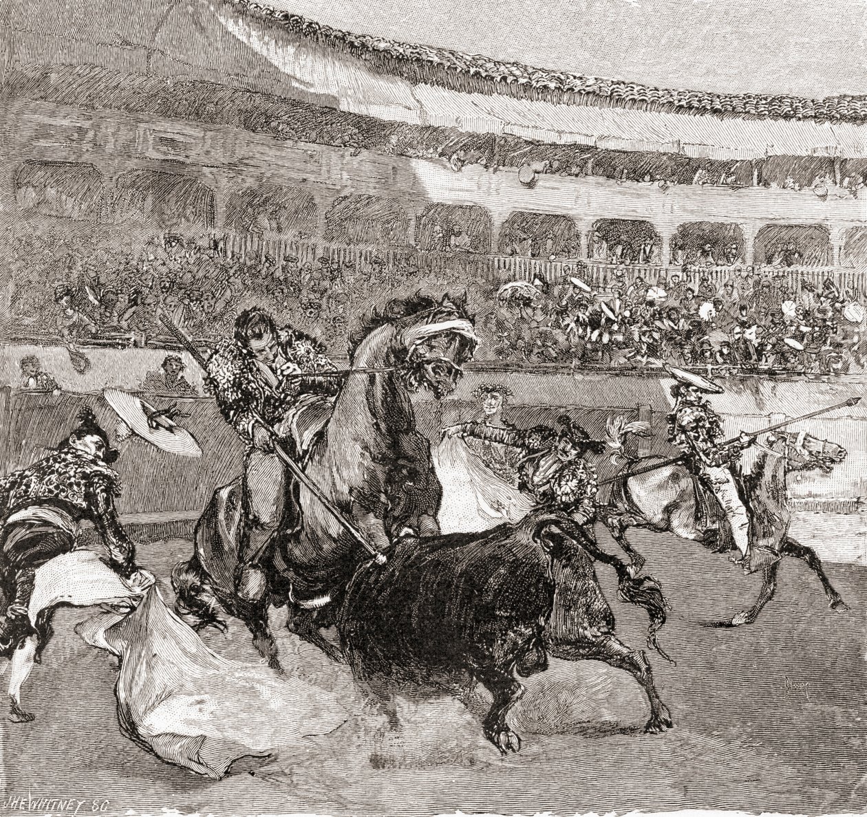 सेंचुरी, स्पेन में द सेंचुरी इलस्ट्रेटेड मंथली मैगजीन की एक बुल फाइट, 1884 (लकड़ी की नक्काशी) प्रकाशित द्वारा जॉन हेनरी एल्सवर्थ व्हिटनी