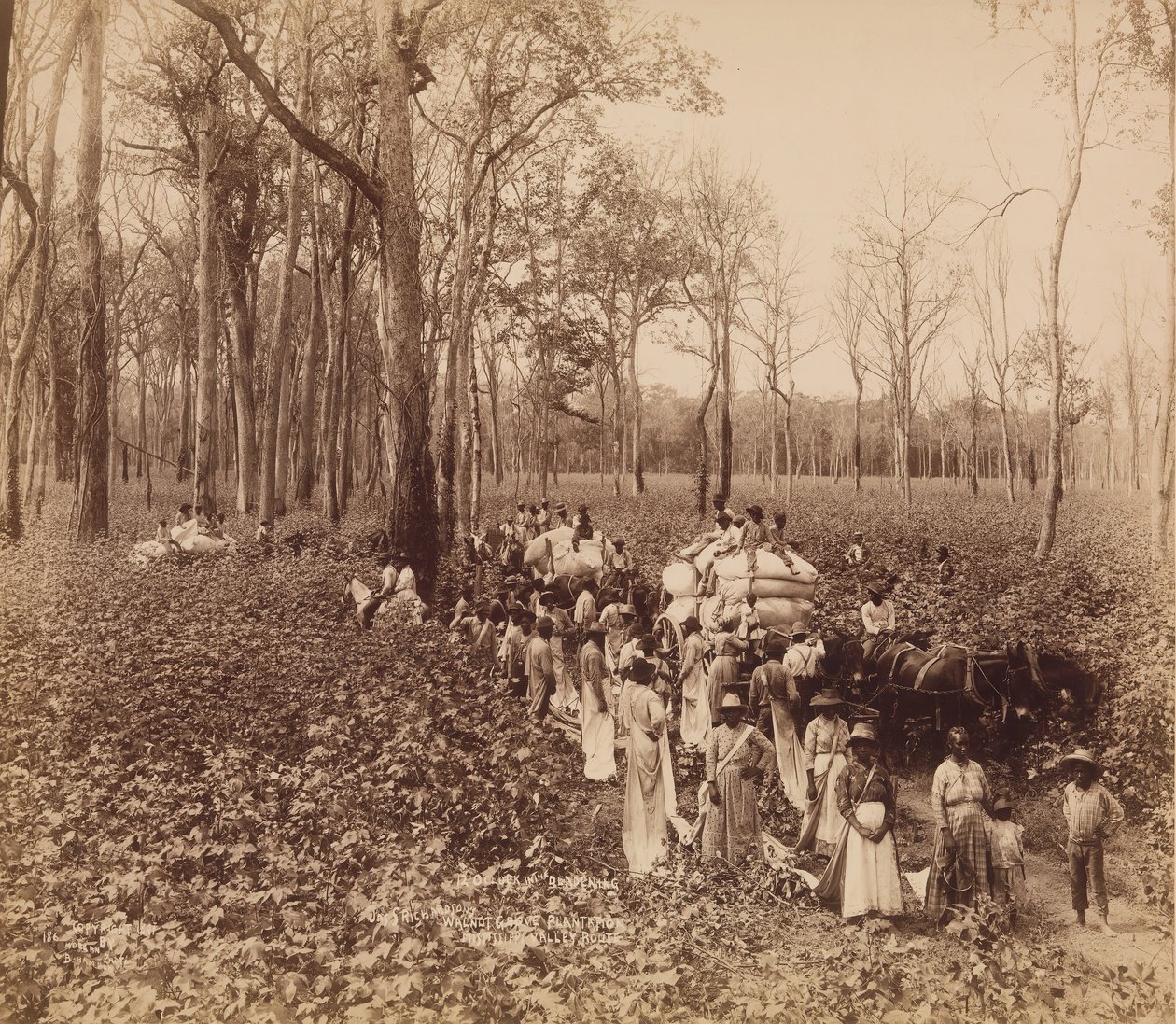 डेडिंग में 12 बजे, सीए। 1891. द्वारा जॉन होर्गन