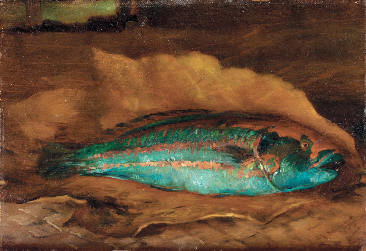 तोता मछली का अध्ययन, समोआ, 1890 द्वारा जॉन ला फार्गे या लाफार्ज