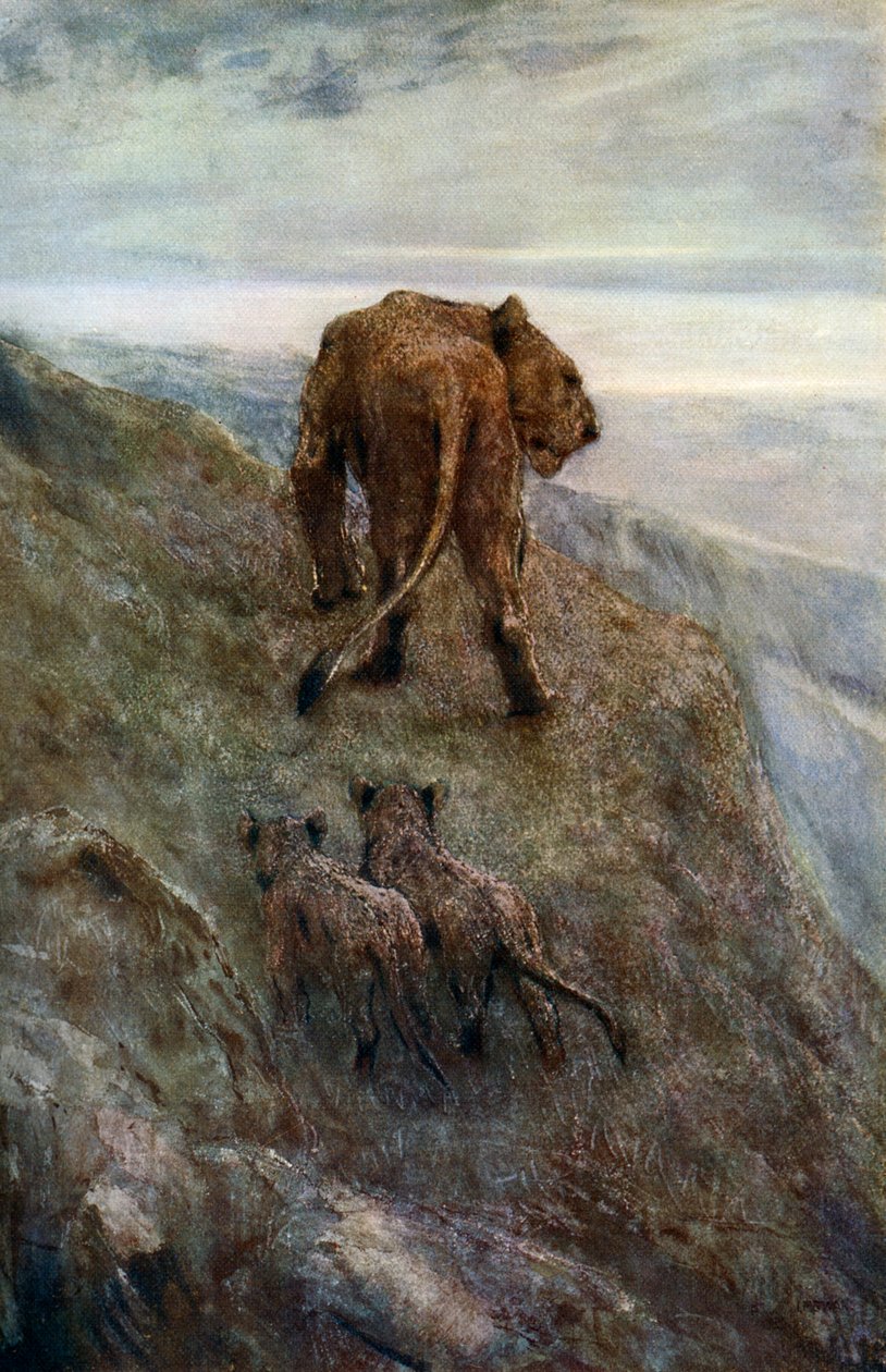 अलर्ट पर - शेरनी और शावक, c1878-1910, 1912। द्वारा जॉन मैकलन स्वान