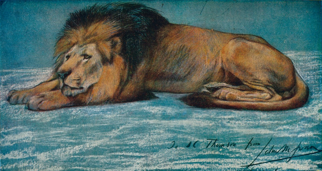 एक शेर का पेस्टल अध्ययन, c1900 द्वारा जॉन मैकलन स्वान