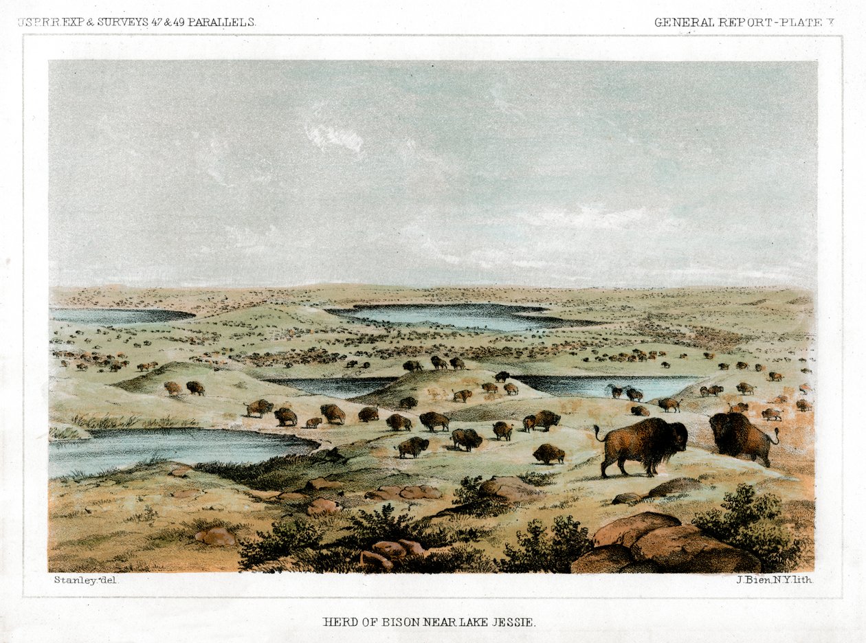 बर्ड्स नियर लेक जेसी, नॉर्थ डकोटा, यूएसए, 1856। द्वारा जॉन मिक्स स्टेनली