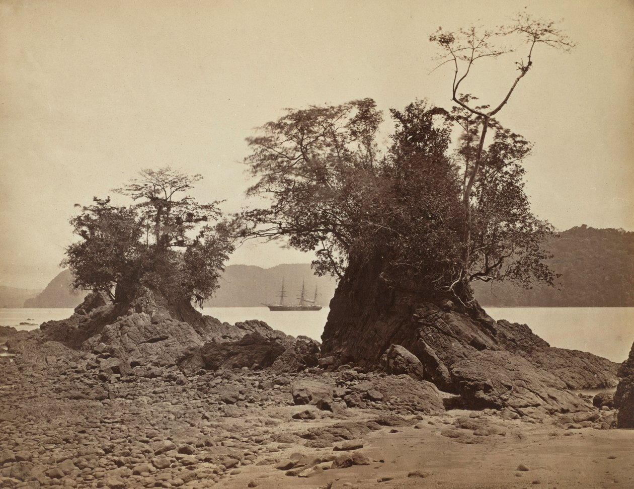 लिमोन बे में द्वीप, 1871। द्वारा जॉन मोरानी