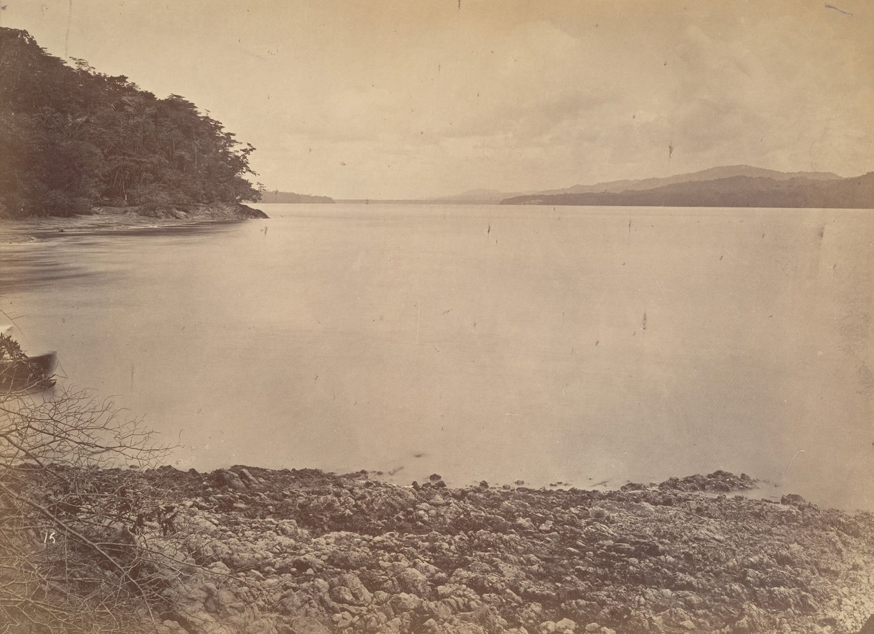 ट्रॉपिकल सीनरी, डेरेन हार्बर - लुकिंग साउथ, 1871। द्वारा जॉन मोरानी