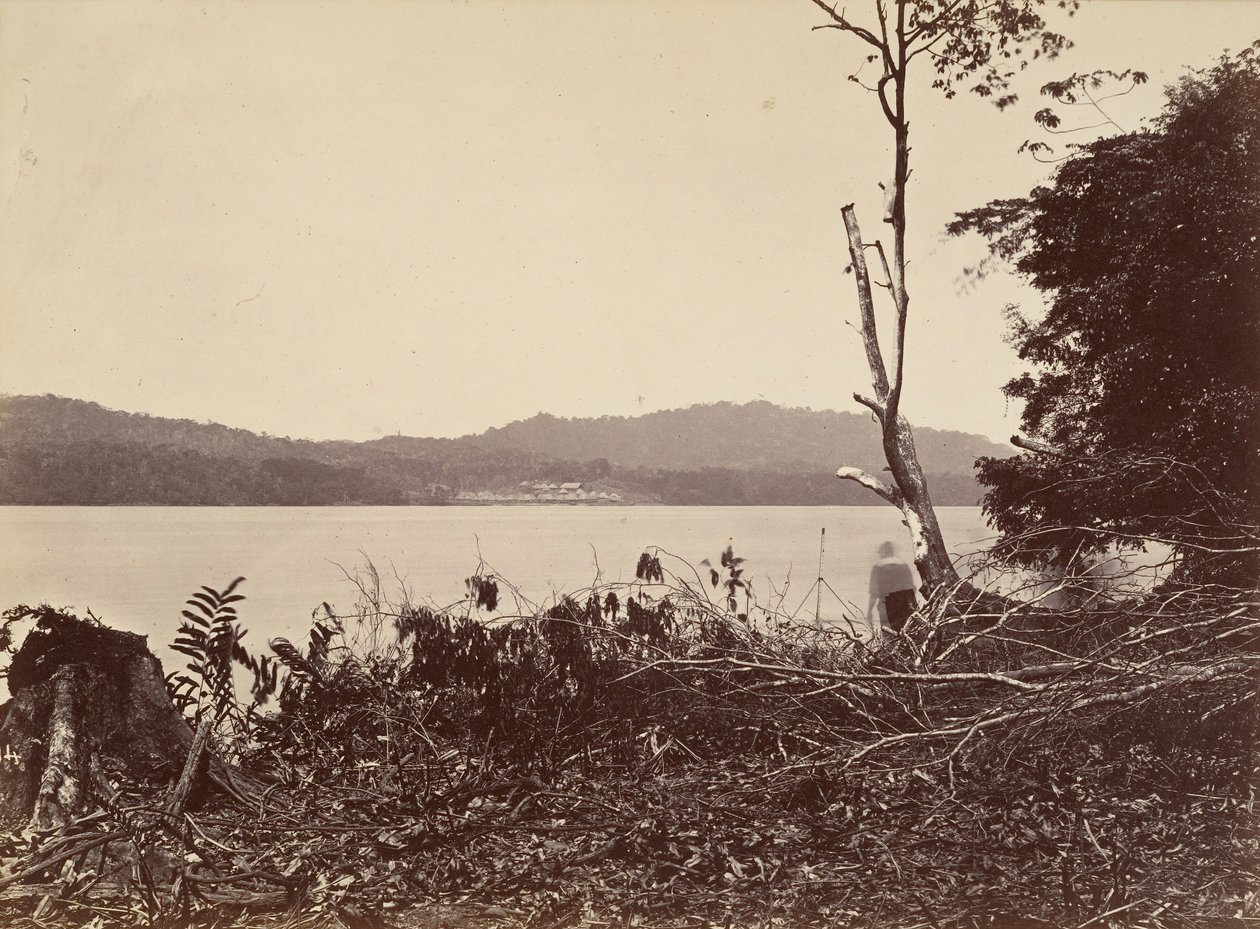 ट्रॉपिकल सीनरी, डेरेन हार्बर, चिपिगाना, 1871। द्वारा जॉन मोरानी