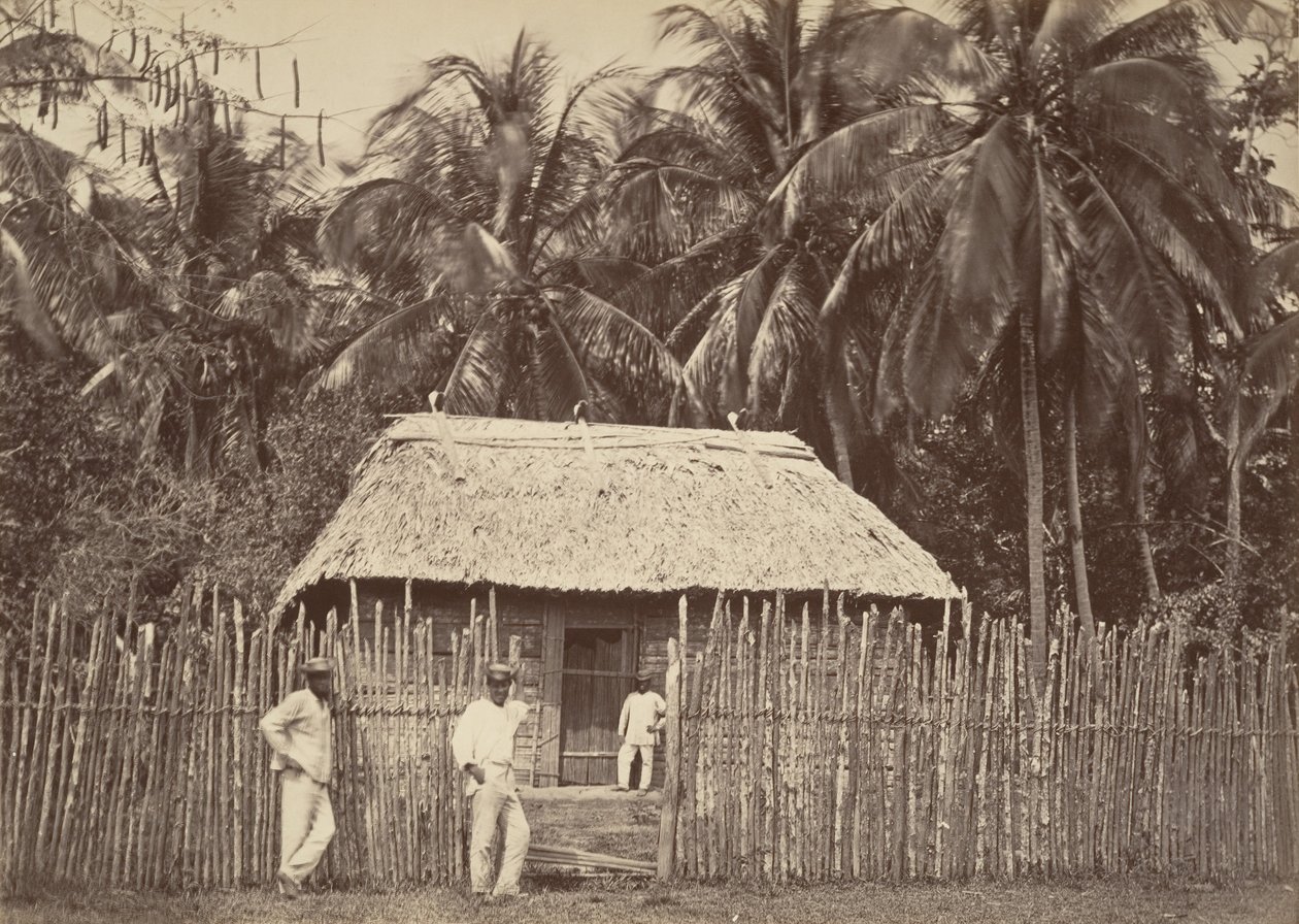 ट्रॉपिकल सीनरी, नेटिव हट, टर्बो, 1871। द्वारा जॉन मोरानी