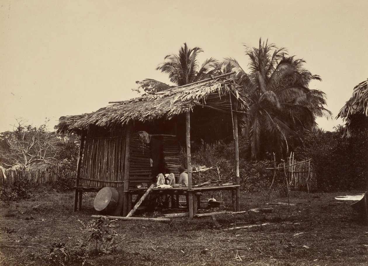 ट्रॉपिकल सीनरी, नेटिव हट, टर्बो, 1871। द्वारा जॉन मोरानी
