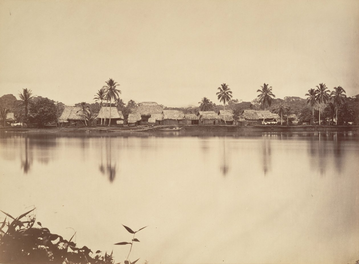 ट्रॉपिकल सीनरी, सांता मारिया डेल रियल, डेरेन, 1871। द्वारा जॉन मोरानी