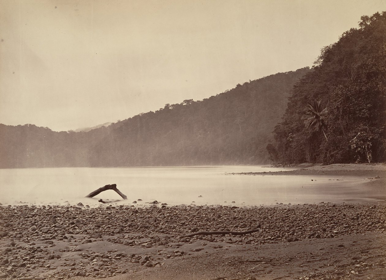 उष्णकटिबंधीय दृश्य, प्रस्तावित नहर का टर्मिनस, लिमोन बे, 1871। द्वारा जॉन मोरानी