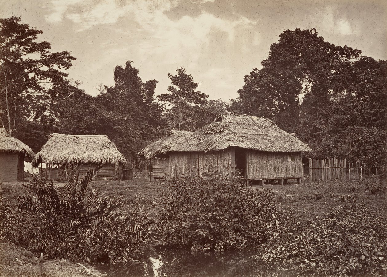 ट्रॉपिकल सीनरी, टर्बो विलेज, 1871। द्वारा जॉन मोरानी