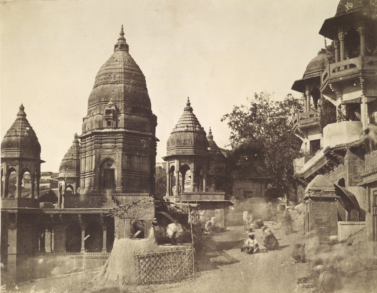  द्वारा जॉन मरे