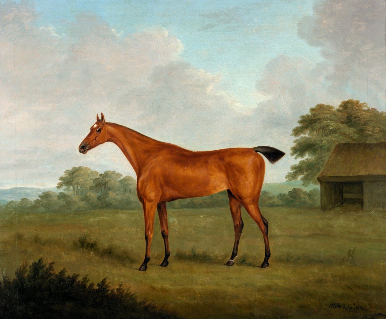 लैंडस्केप में चेस्टनट हॉर्स, 1815 द्वारा जॉन नॉट सार्टोरियस