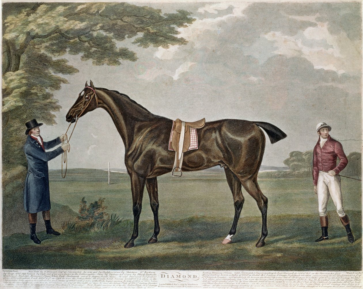द रेसहॉर्स डायमंड, c.1799 द्वारा जॉन नॉट सार्टोरियस