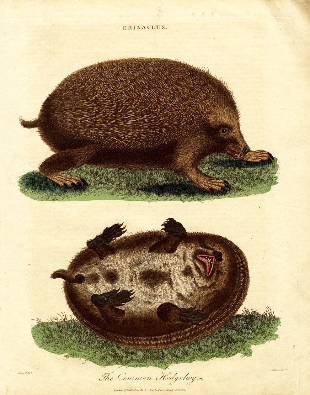  द्वारा जॉन पास