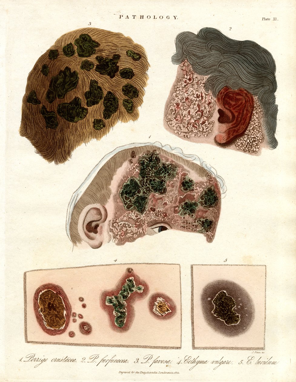  द्वारा जॉन पास