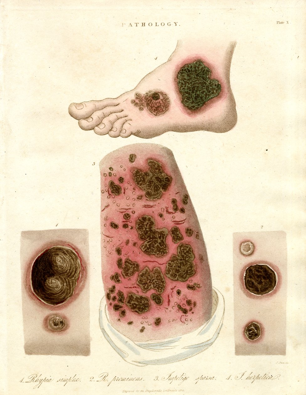  द्वारा जॉन पास