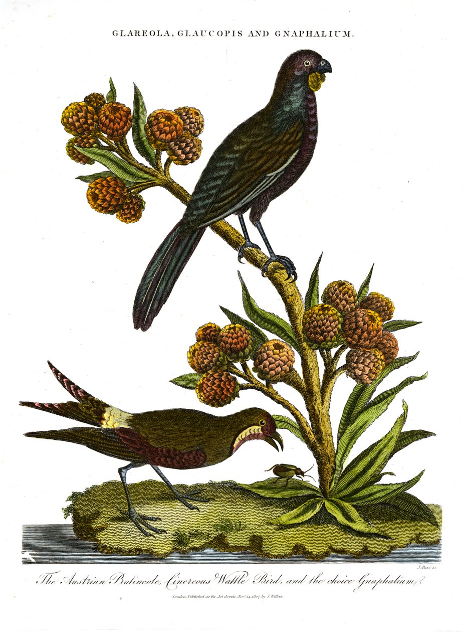  द्वारा जॉन पास