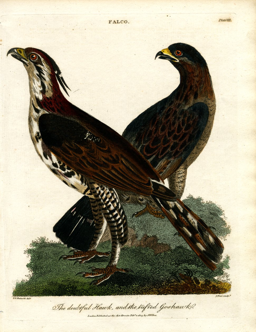  द्वारा जॉन पास