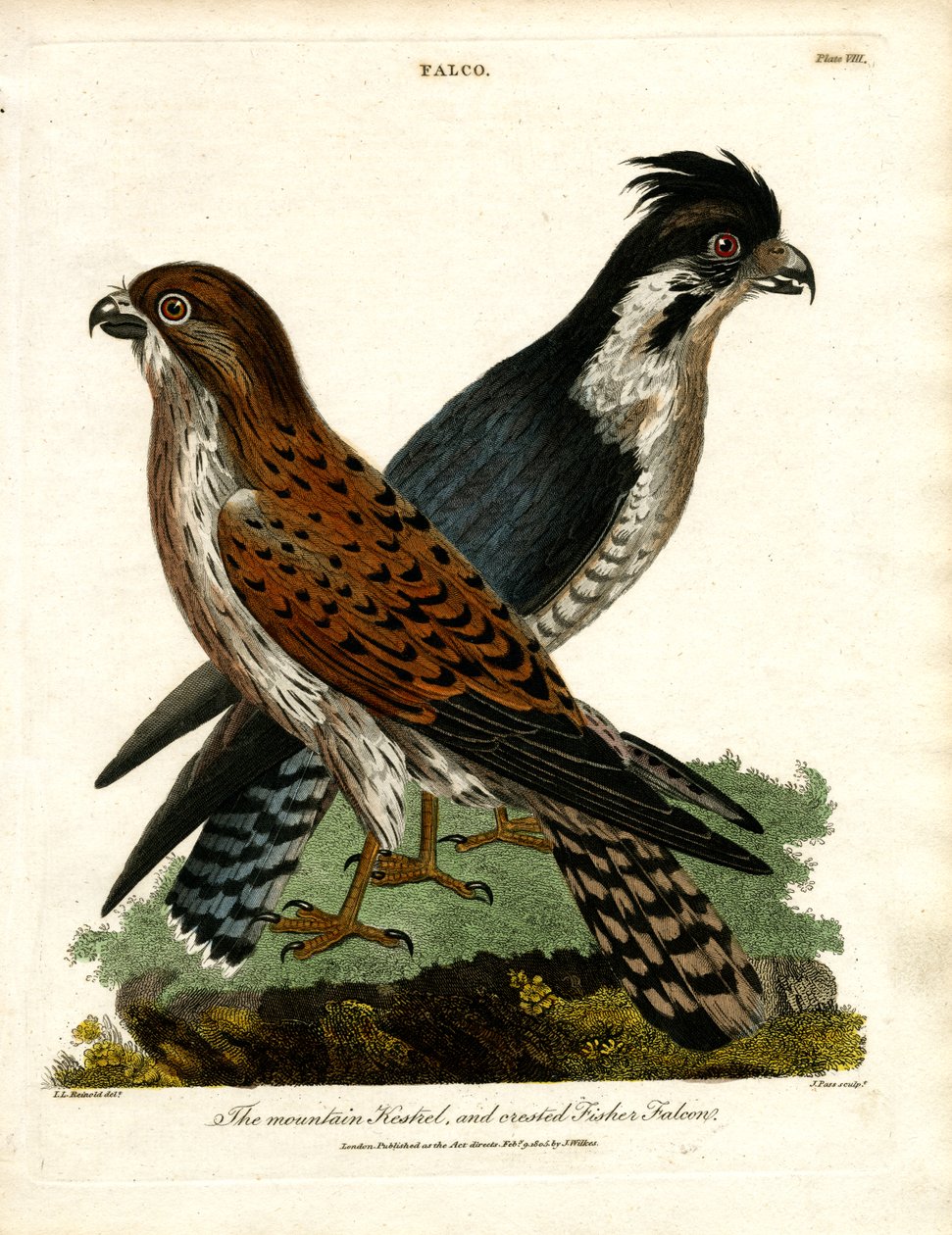  द्वारा जॉन पास