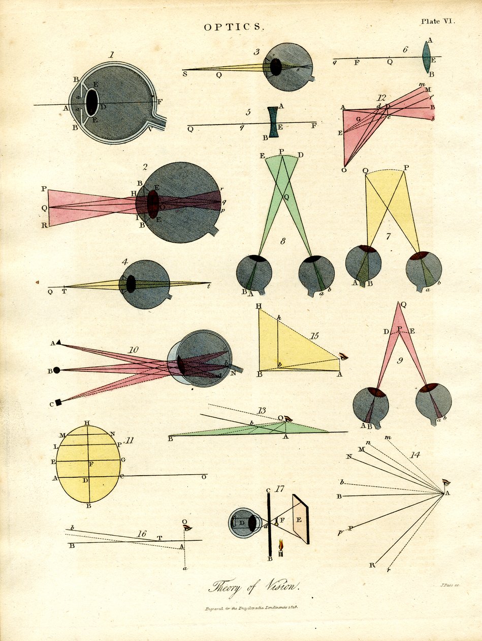  द्वारा जॉन पास
