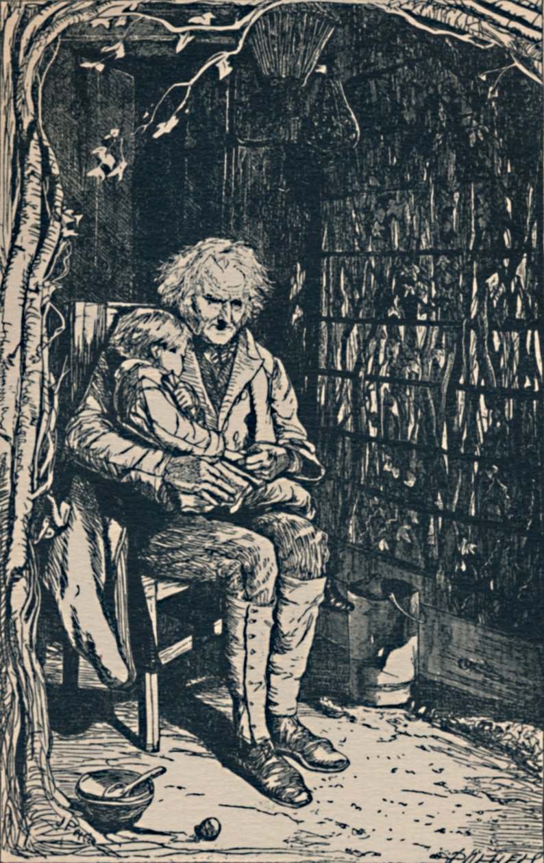 द पैशन फ्लॉवर ऑफ़ लाइफ।, c1860-1890, 1923 द्वारा जॉन पेटी